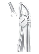 Fig. 7 upper premolars